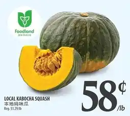 Al Premium Food Mart Local kabocha squash offer