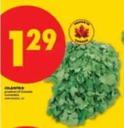 No Frills Cilantro offer