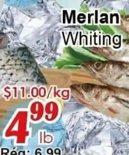 Marche C&T Merlan Whiting offer