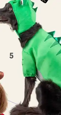 Petvalu Lizard Halloween Costume offer