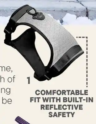 Petvalu Canada Pooch Reflective Harness offer
