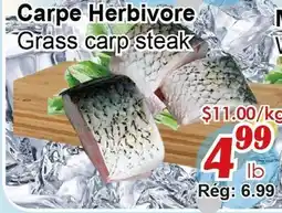 Marche C&T Carpe Herbivore offer