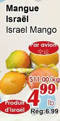 Marche C&T Mangue Israël offer