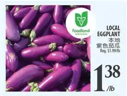 Al Premium Food Mart LOCAL EGGPLANT offer
