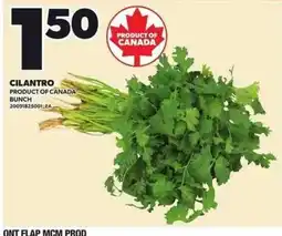 Loblaws Cilantro offer