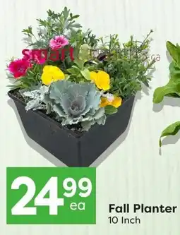 Quality Foods Fall Planter offer