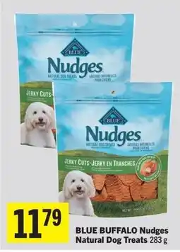 Foodland Blue Buffalo Nudges offer