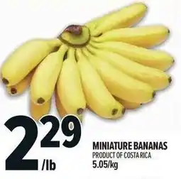 Metro Miniature Bananas offer