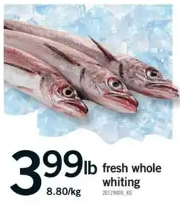 Fortinos fresh whole whiting offer