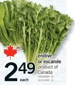 Fortinos endive or escarole offer