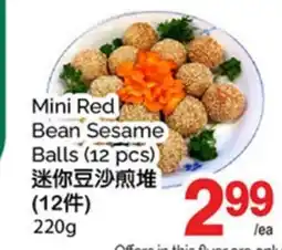 T&T Supermarket MINI RED BEAN SESAME BALLS (12 PCS) offer