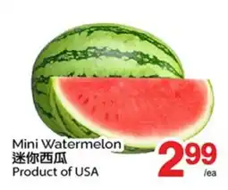 T&T Supermarket MINI WATERMELON offer