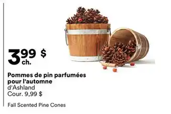 Michaels Pommes de pin parfumées pour l'automne d'Ashland offer
