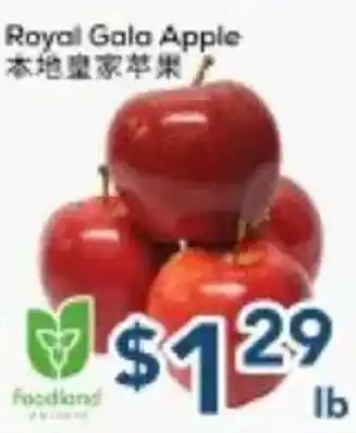 Oceans Fresh Food Market Royal Gala Apple offer