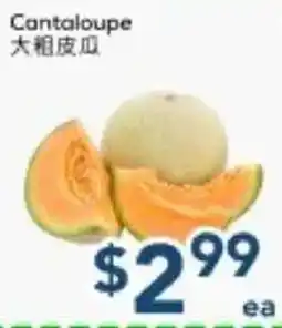 Oceans Fresh Food Market Cantaloupe offer