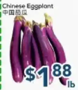 Oceans Fresh Food Market Chinese Eggplant offer