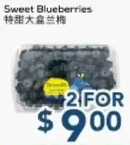 Oceans Fresh Food Market Sweet Blueberries offer