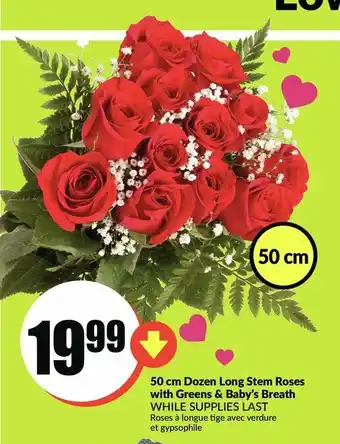 FreshCo 50 cm Dozen Long Stem Roses with Green & Baby's Breath offer