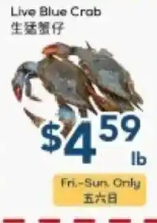 Oceans Fresh Food Market Live Blue Crab offer