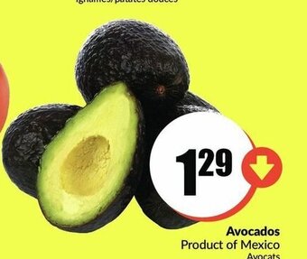 FreshCo Avocados offer