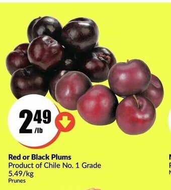 FreshCo Red or Black Plums offer