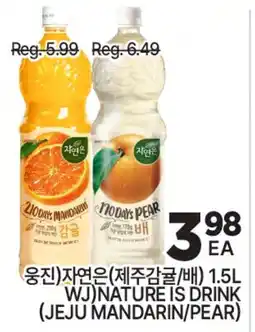H-Mart NATURE IS DRINK (JEJU MANDARIN/PEAR) offer