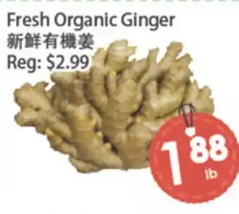 Fresh Palace Supermarket Fresh Organic Ginger offer