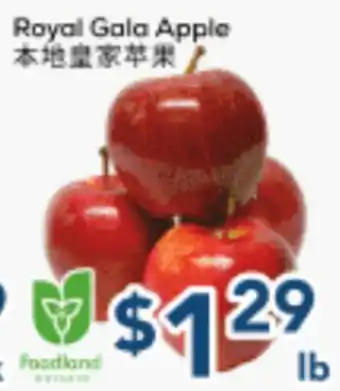 Oceans Fresh Food Market Local Royal Gala Apple offer