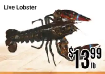 Nations Fresh Foods Live Lobster offer