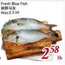 Tone Tai Supermarket Fresh Blue Fish offer