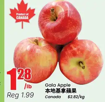 Terra Foodmart Gala Apple offer