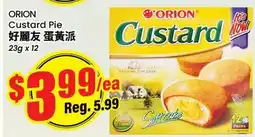 Terra Foodmart ORION Custard Pie offer