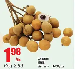 Terra Foodmart Longan offer