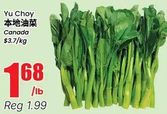 Terra Foodmart Yu Choy offer