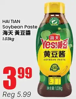 Terra Foodmart HAI TIAN Soybean Paste offer