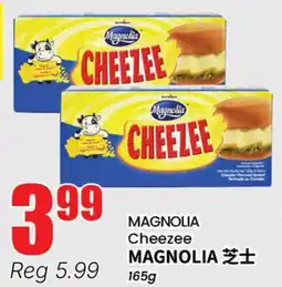 Terra Foodmart MAGNOLIA Cheezee offer