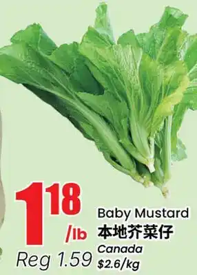 Terra Foodmart Baby Mustard offer