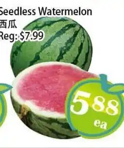 Food Depot Supermarket Seedless Watermelon offer