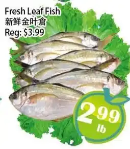 Food Depot Supermarket Fresh Leaf Fish offer