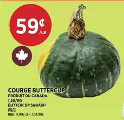 Kim Phat Buttercup squash offer