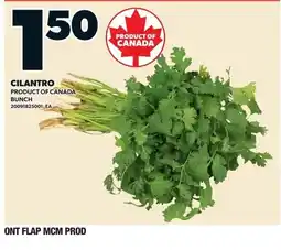 Zehrs Markets Cilantro offer
