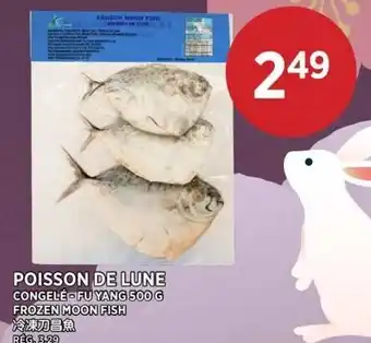 Frozen moon fish