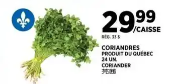 Kim Phat Coriander offer