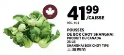 Kim Phat Pousses de bok choy shanghai offer