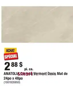 Home Depot Anatolia Vermont Oasis Mat offer