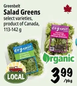 Farm Boy Greenbelt Salad Greens offer