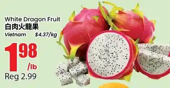 White Dragon Fruit