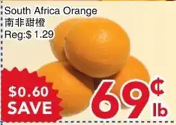 Yours Food Mart South Africa Orange offer