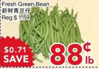 Fresh Green Bean