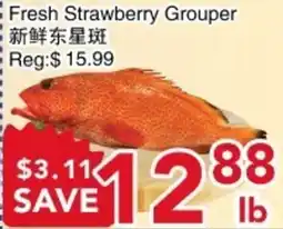 Yours Food Mart Fresh Strawberry Grouper offer